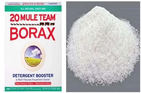 borax in tagalog|Borax Definition & Meaning .